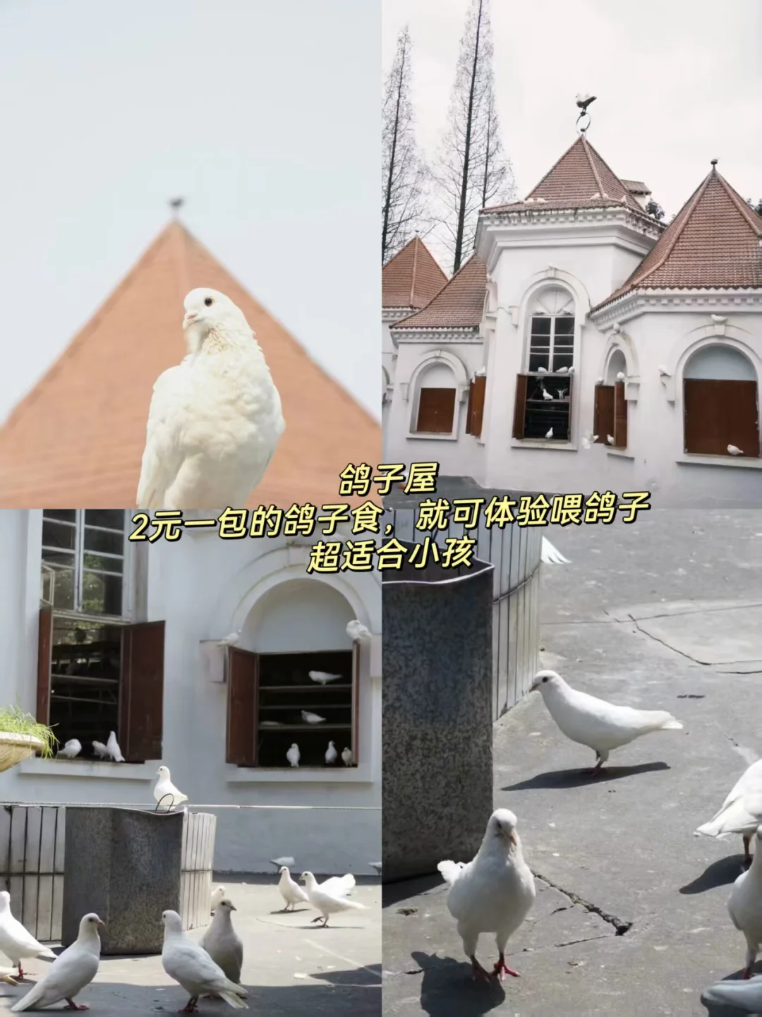 成都周边游｜乐山好玩的地方端午就来这里！