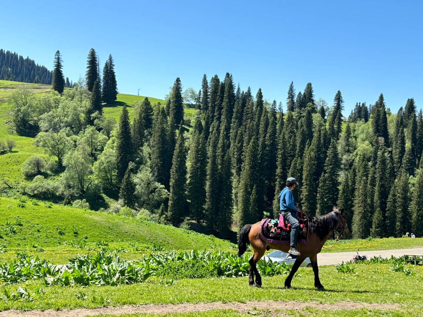 广东出发想去伊犁的可以借鉴！