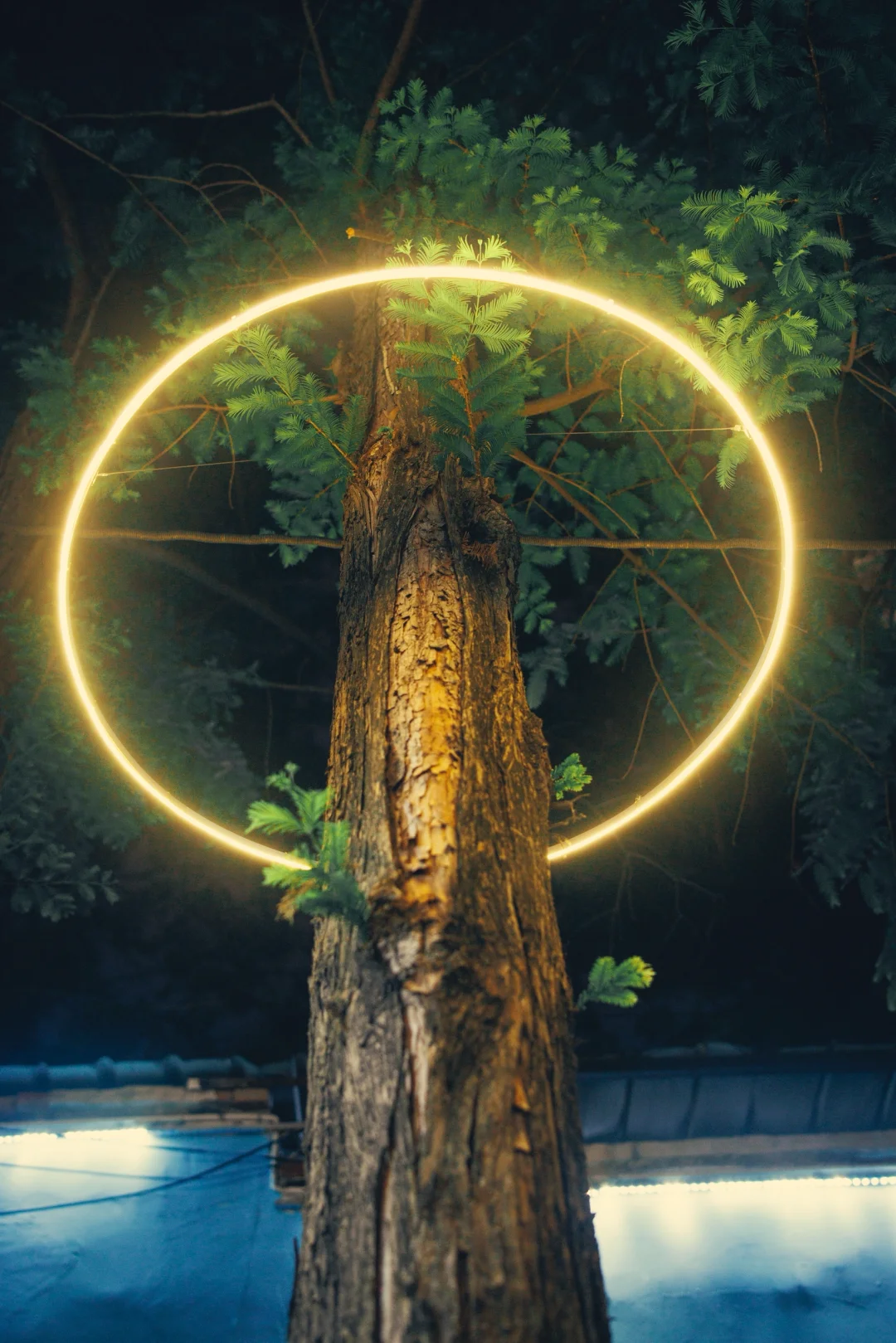 合肥不愧是科技之城！