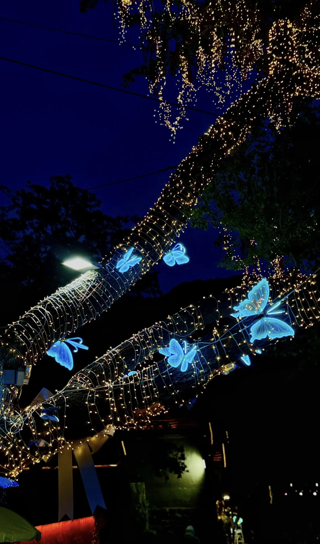 寻一处喧闹之中的静谧之地