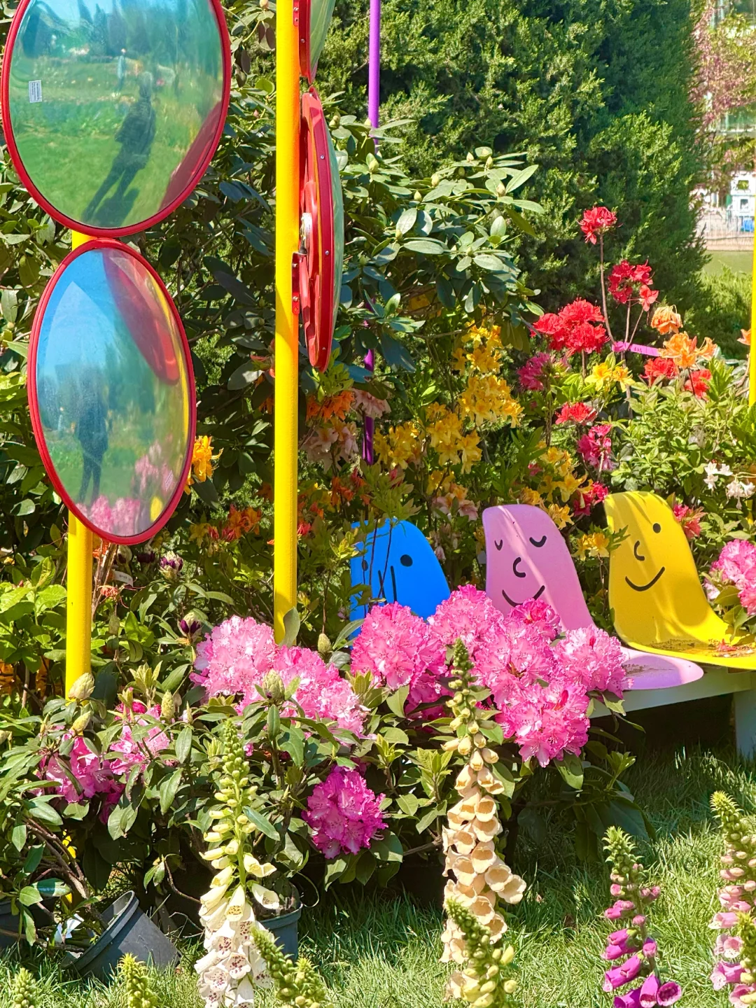 4.15实拍live，北京有自己的莫奈花园‼️