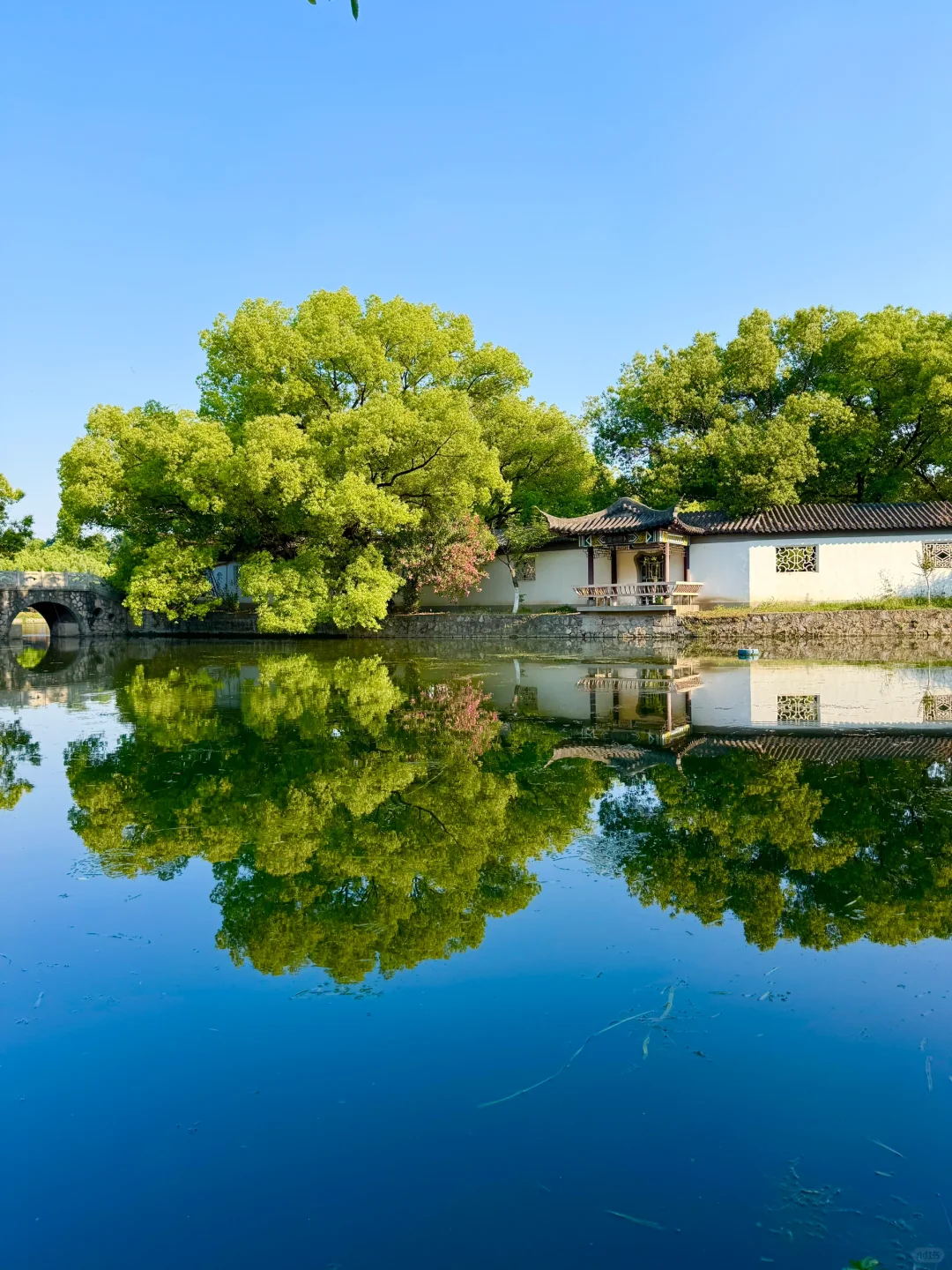 第一个发现南京这个机位的人是天才吧…