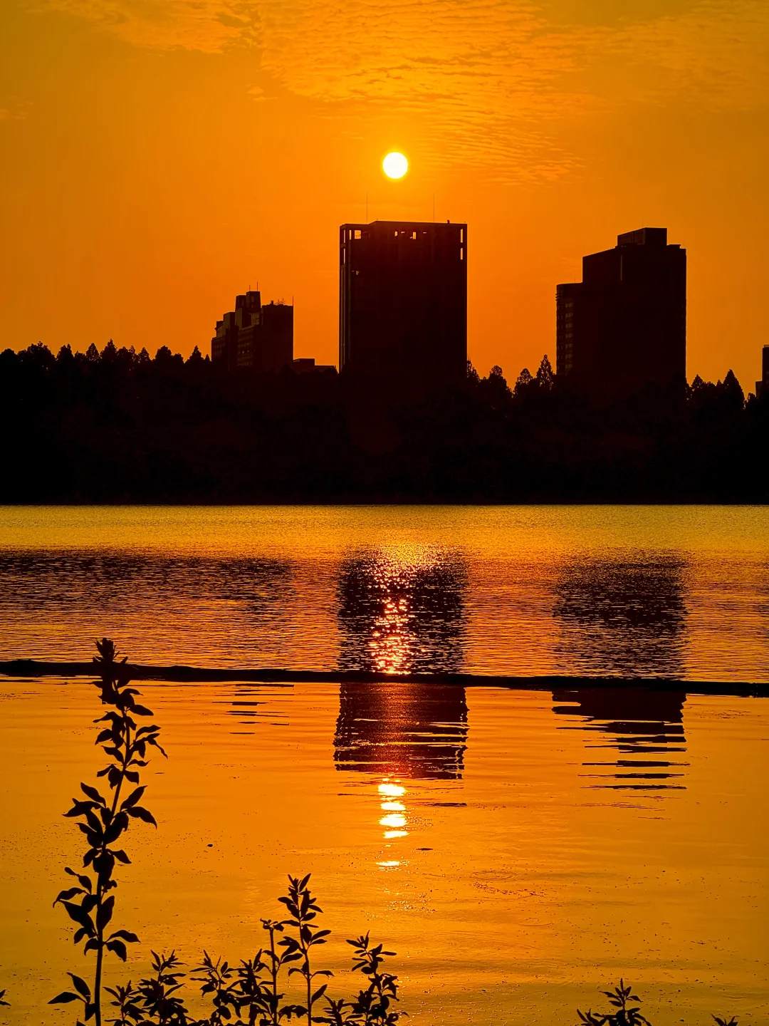 我宣布，这是南京最值得去的免费景区……