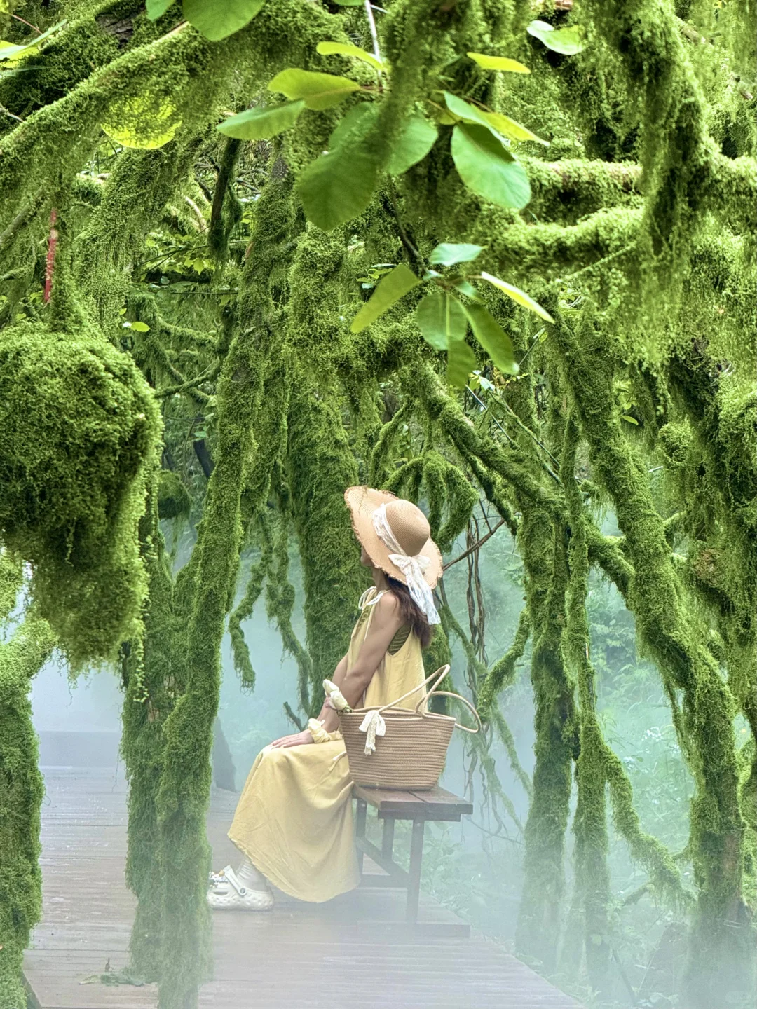 藏不住了‼️发现河南私藏绿野仙踪瀑布秘境🍃