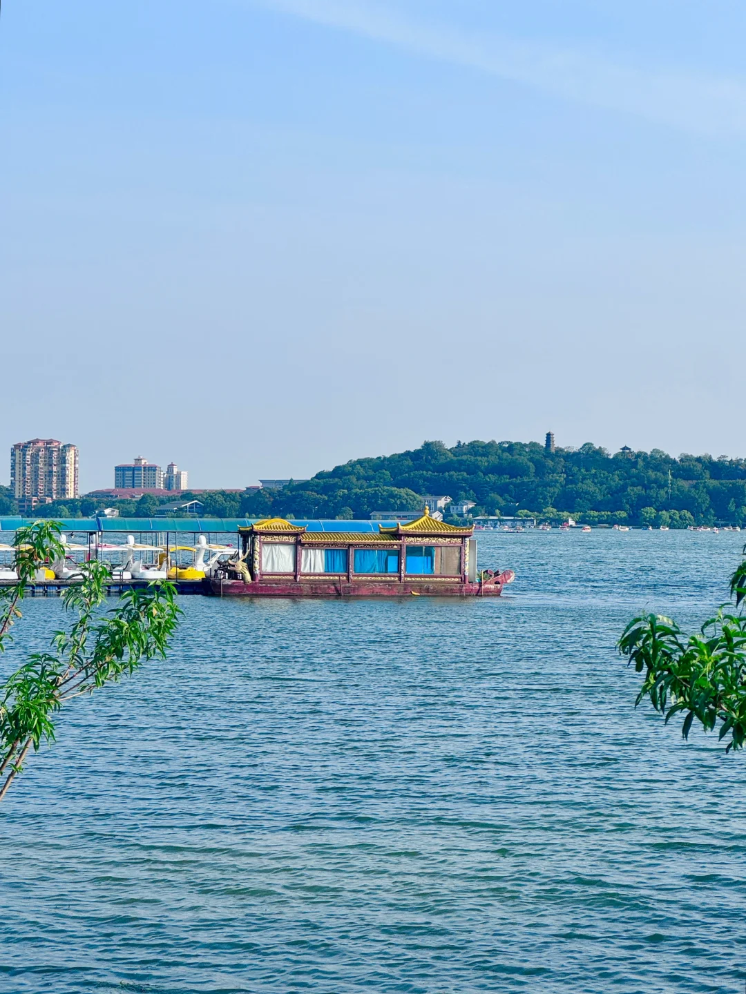 我宣布，这是南京最值得去的免费景区……