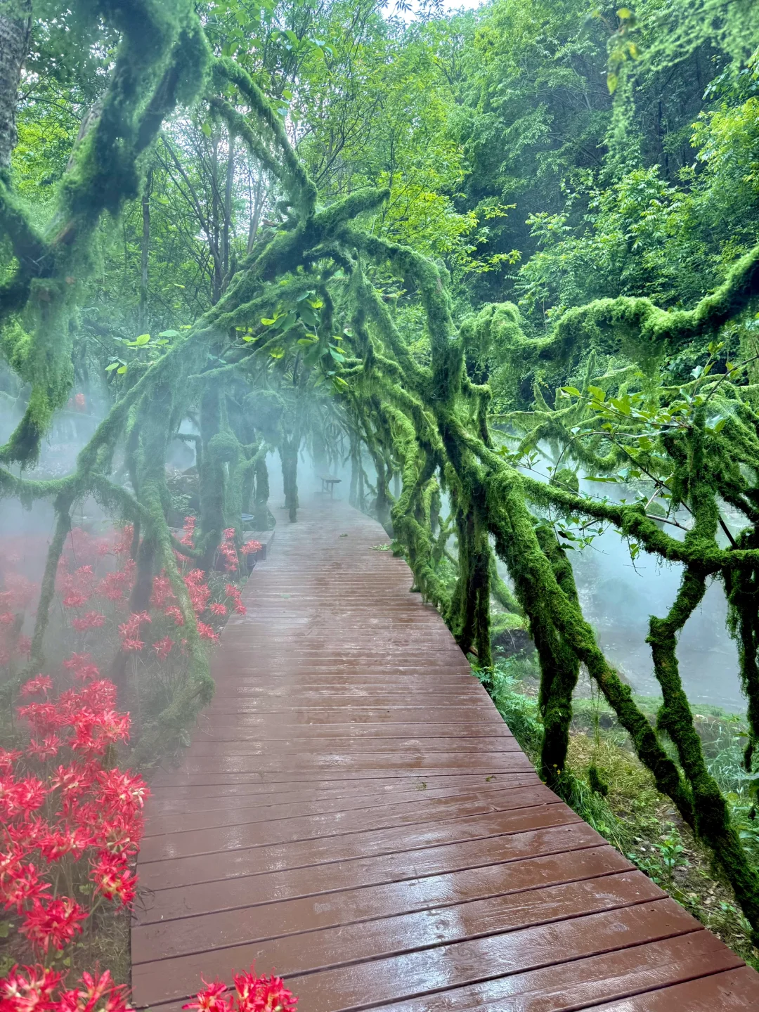 藏不住了‼️发现河南私藏绿野仙踪瀑布秘境🍃