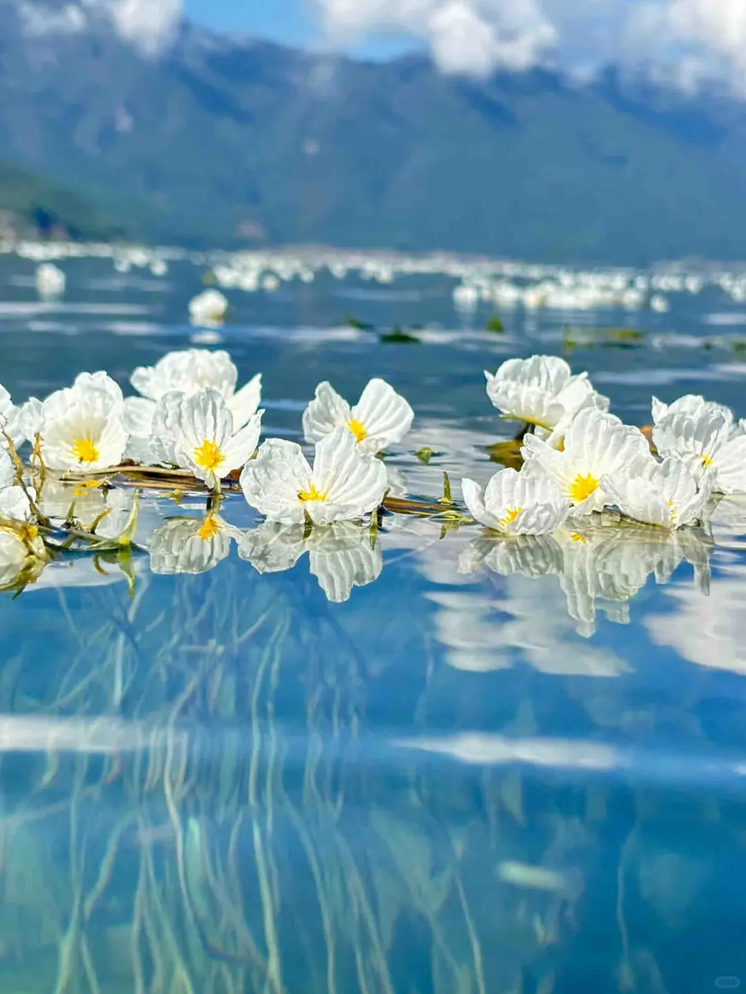 5.20📍泸沽湖已回,我的建议是…