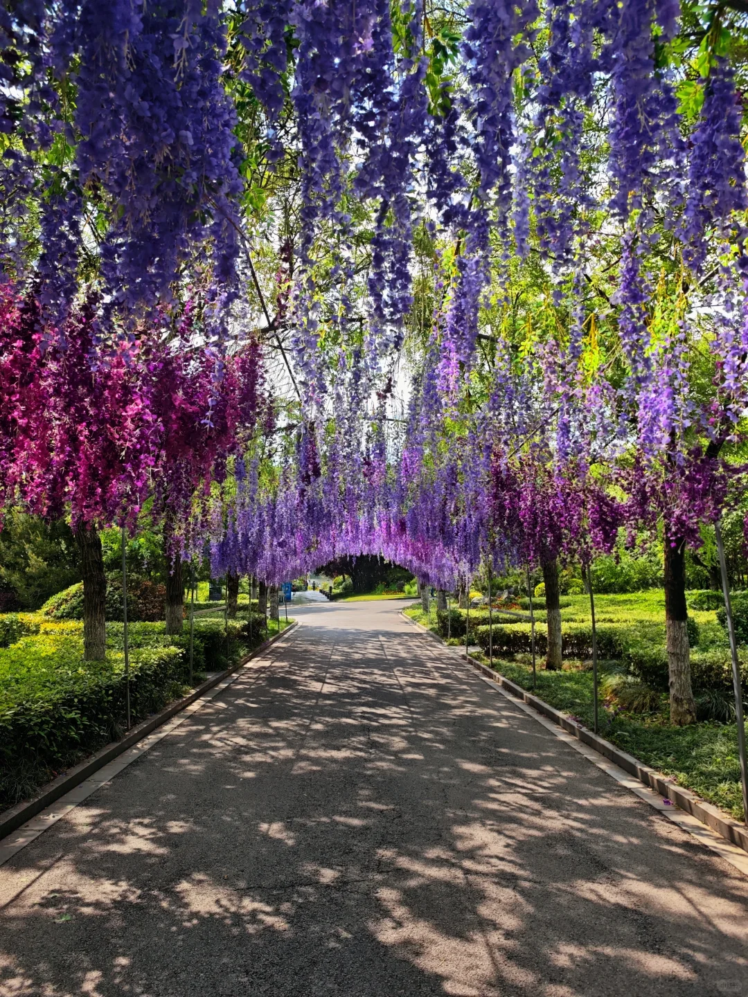 人少景美又能体验到汉文化