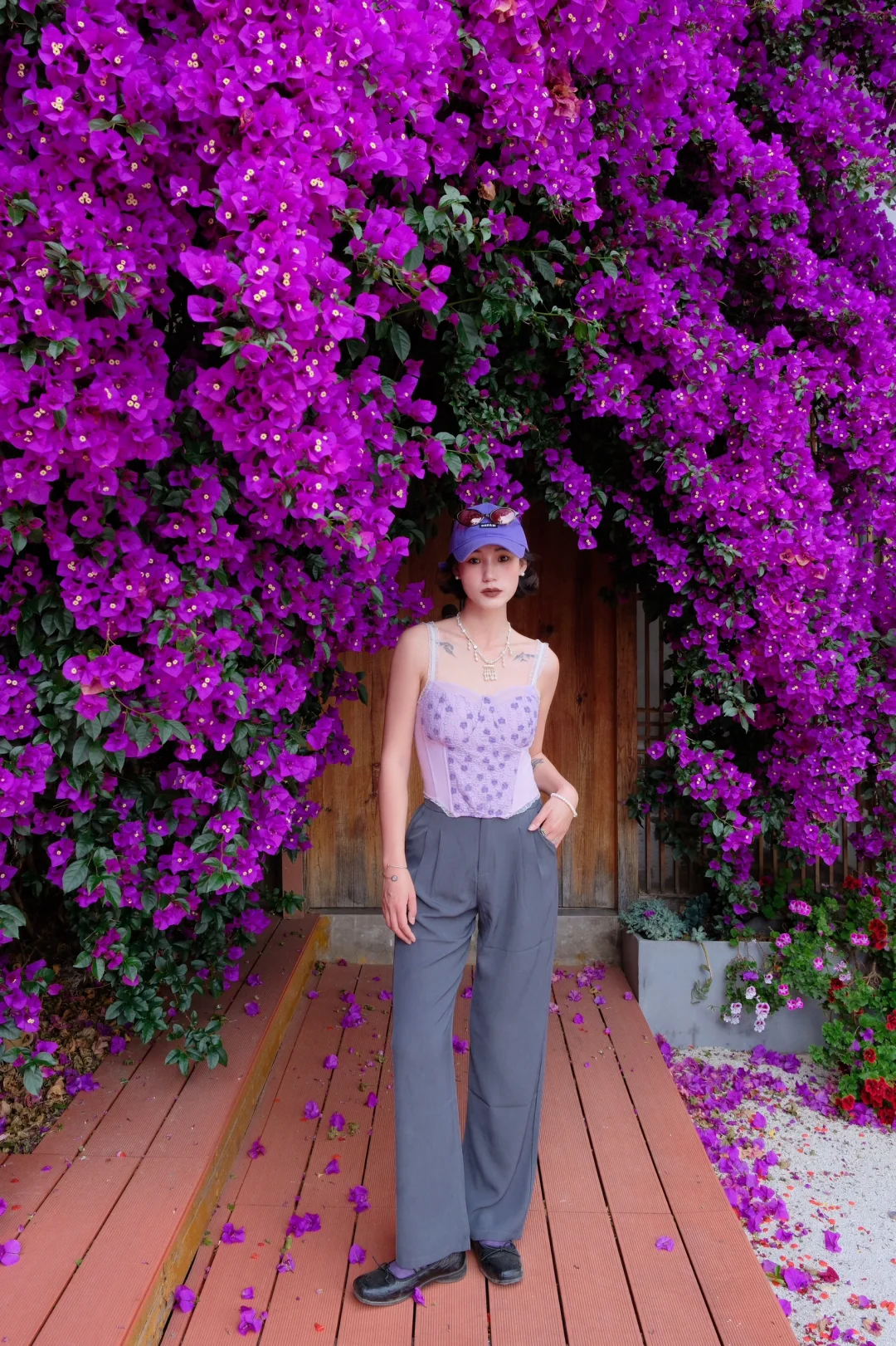 满墙热烈的初夏