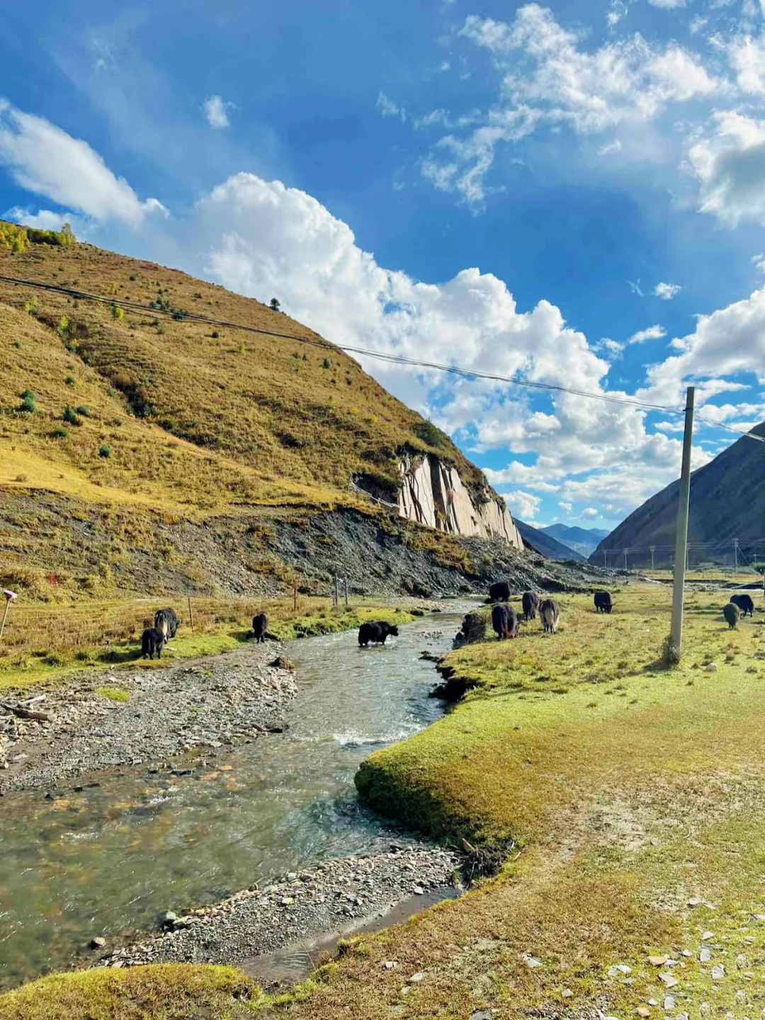 在川西！果然好看的地方都是免费的。。
