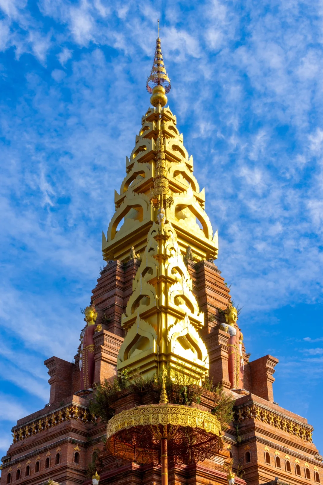 朋友圈被问爆了！这18张图都以为我在国外！