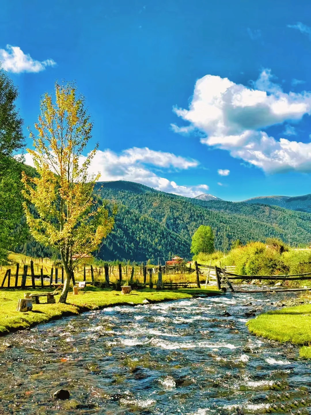 在川西！果然好看的地方都是免费的。。