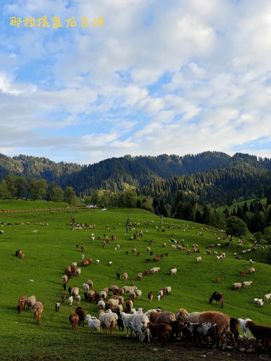 北疆旅游，全网最详细攻略！
