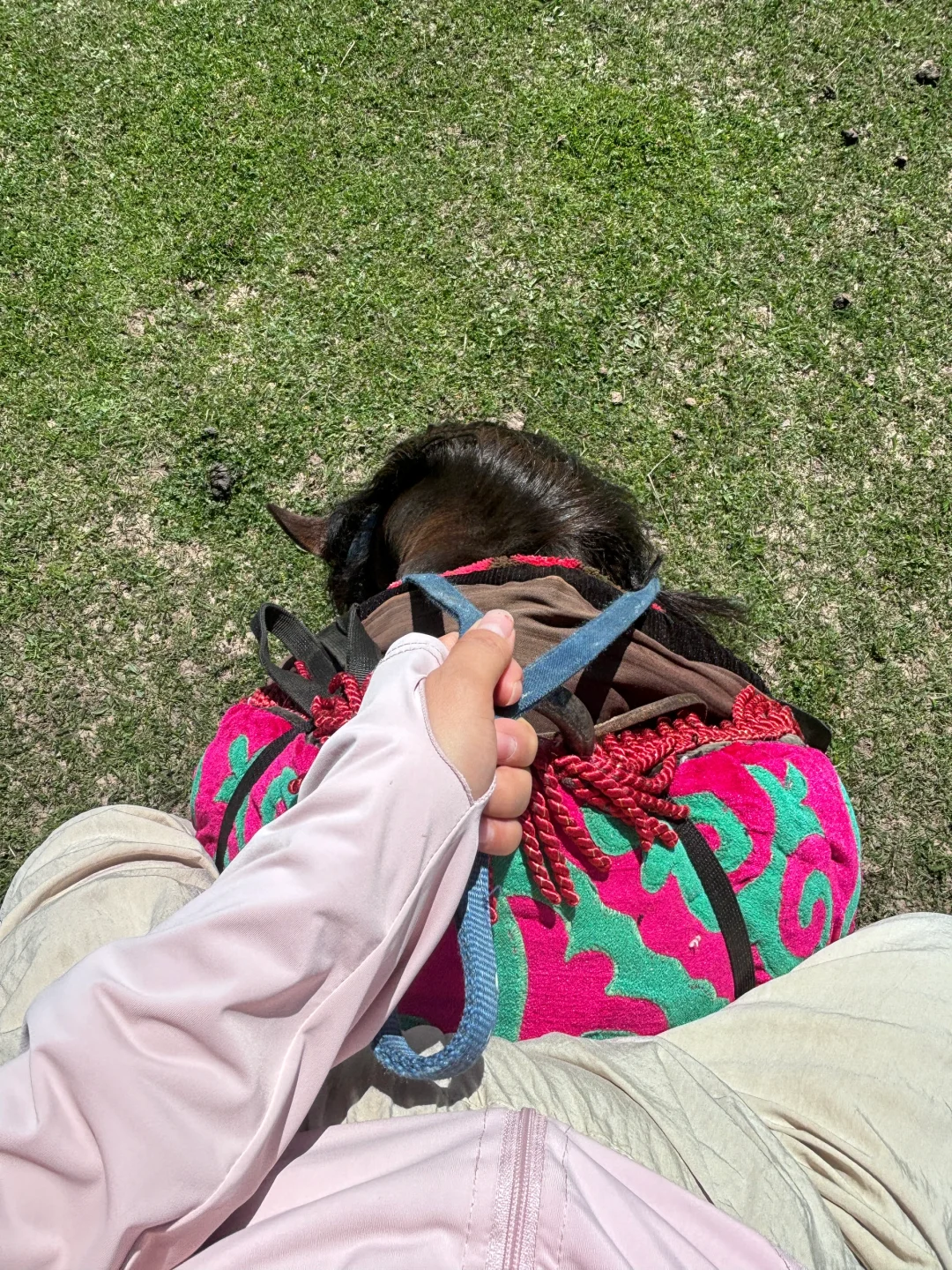 这辈子一定要去趟新疆!!!!!