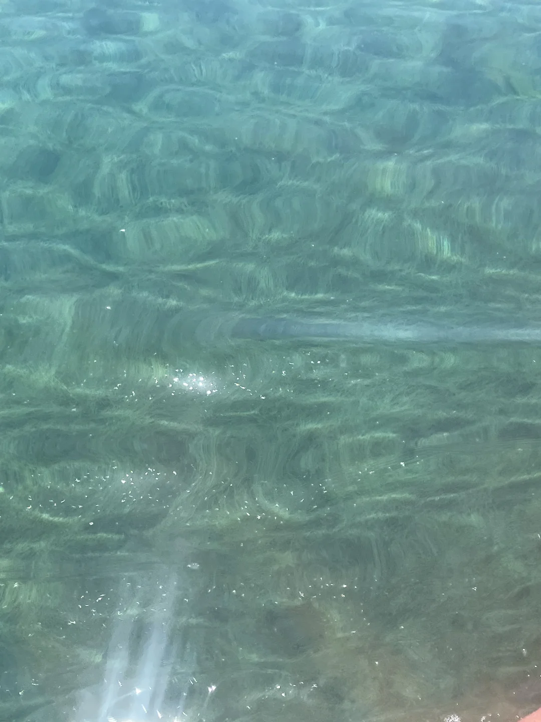 被困住的人儿在新疆找寻心灵的救赎