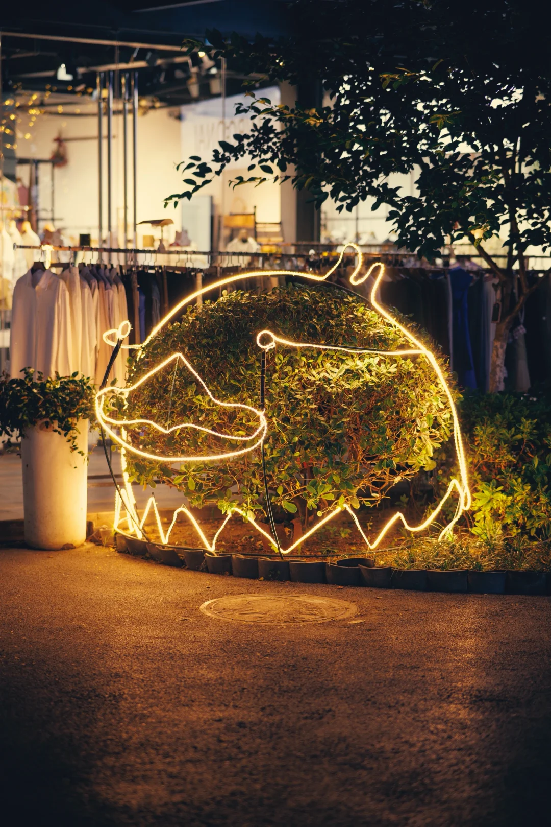 合肥不愧是科技之城！