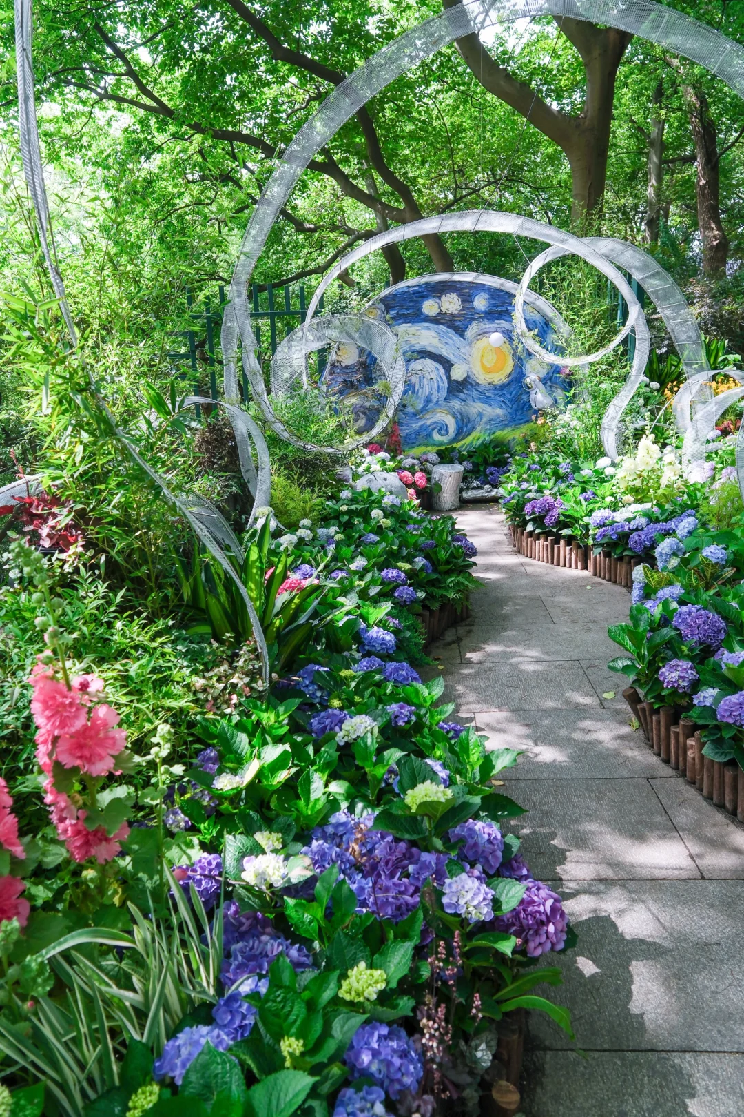 今年的绣球花展，吴山天风赢麻了！🌸