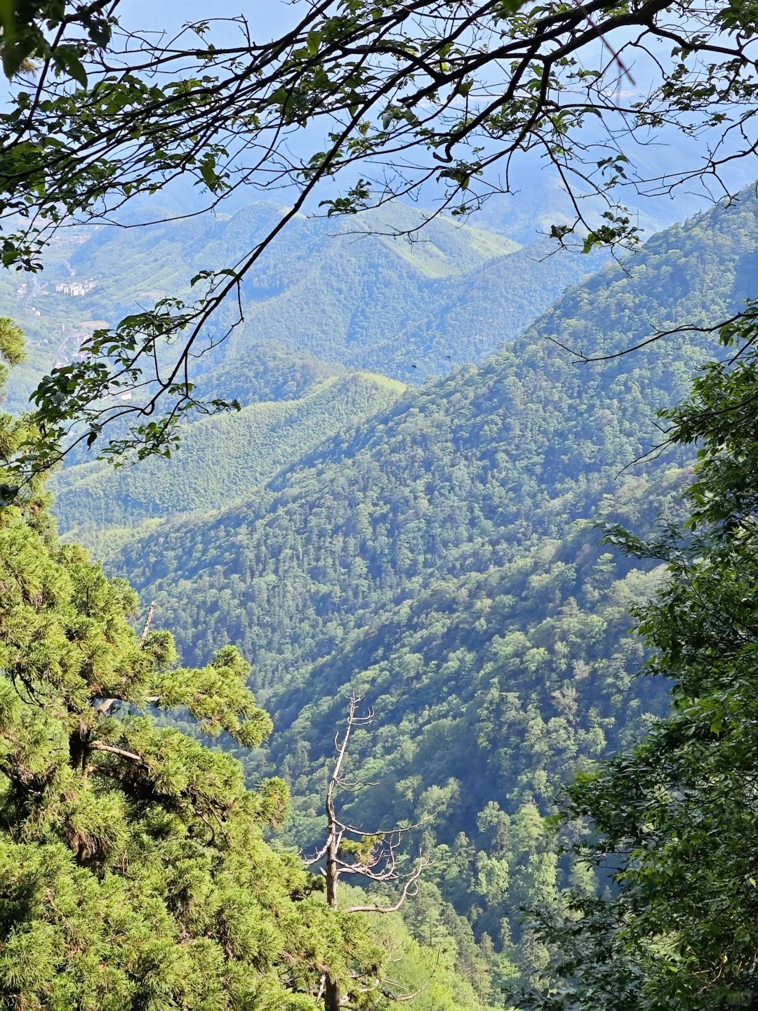 盛夏来临之前，有幸遇见