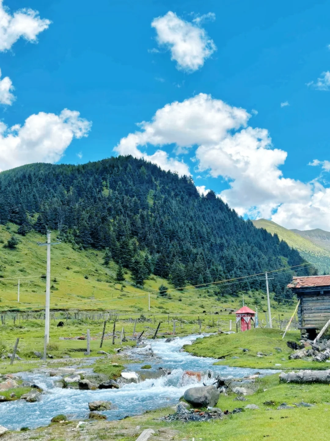 在川西！果然好看的地方都是免费的。。