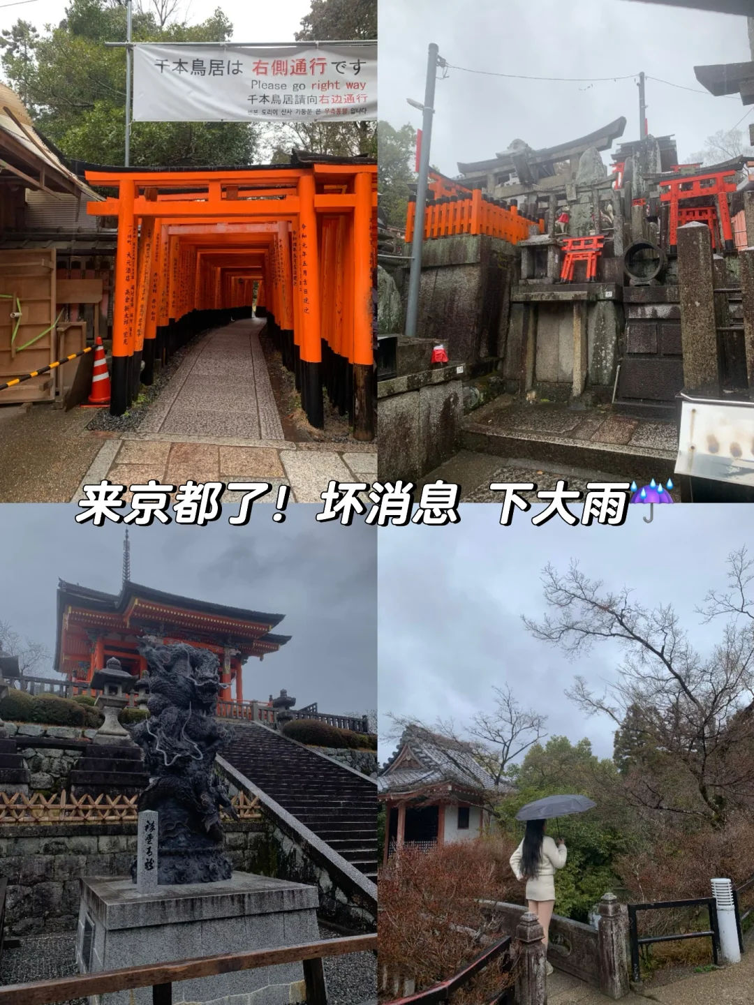 日本7天6晚自由行跟我这样玩丨省两千‼️👍