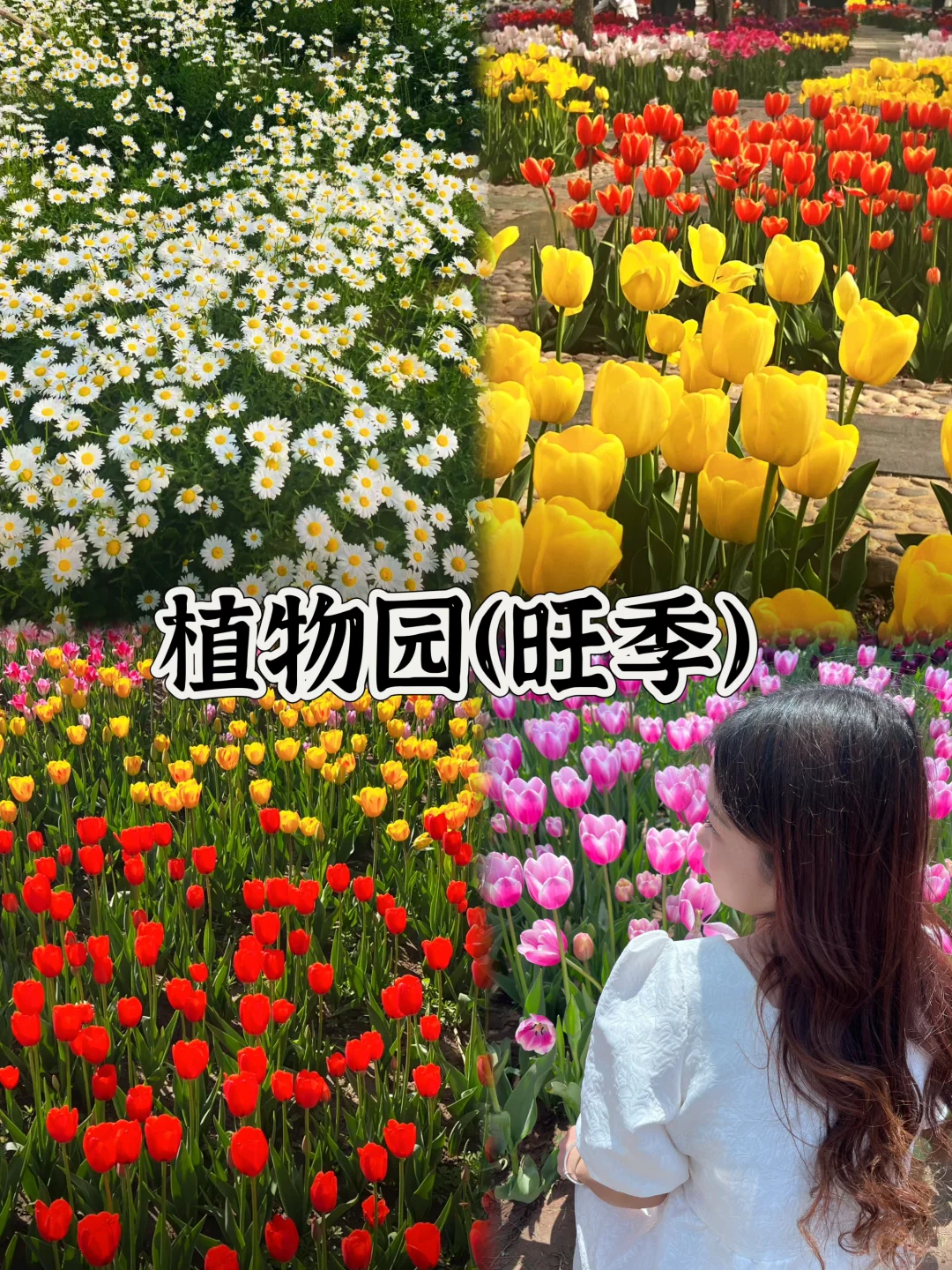 03女大📍石家庄/三天二夜精华版旅游攻略❗️