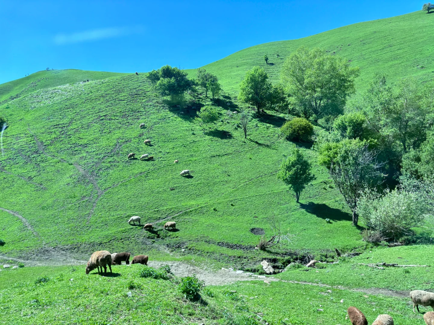 这辈子一定要去趟新疆!!!!!