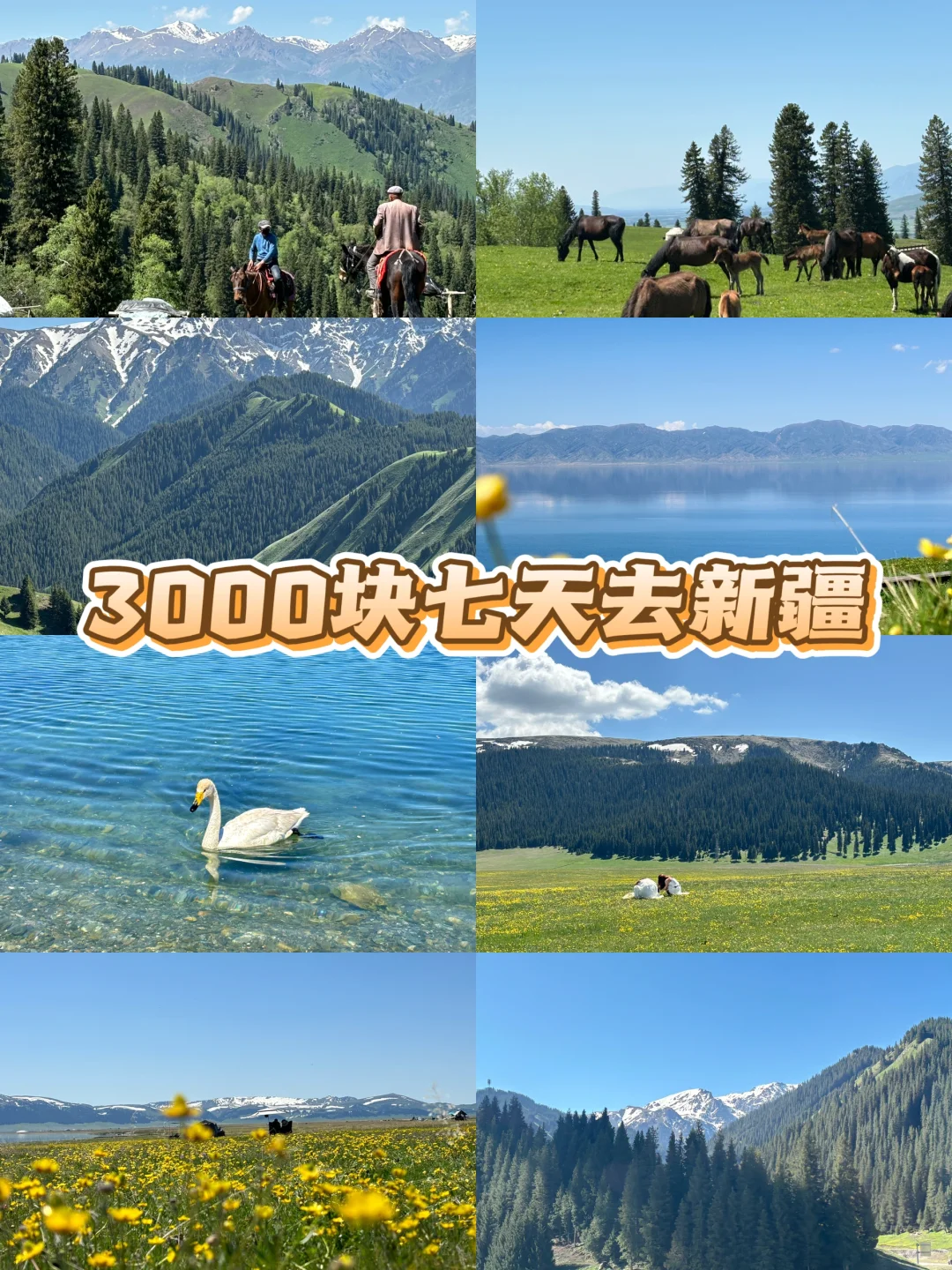 广东出发想去伊犁的可以借鉴！