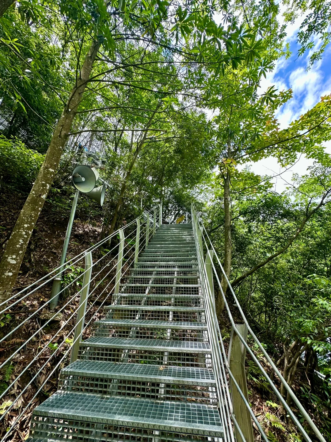🌿端午｜悬崖乐园懒人度假攻略来啦！