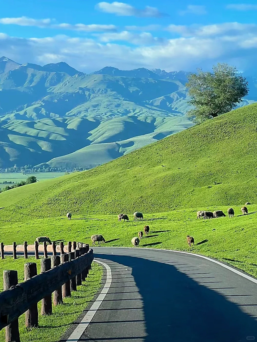 5-6月初夏的新疆美翻了‼祛魅不了一点😭