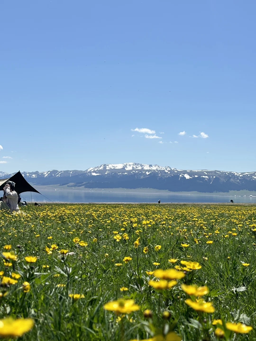 广东出发想去伊犁的可以借鉴！
