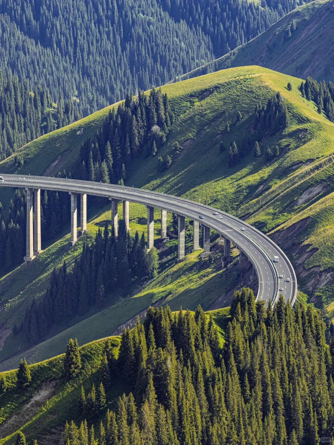 五一小长假保姆级伊犁游玩路线