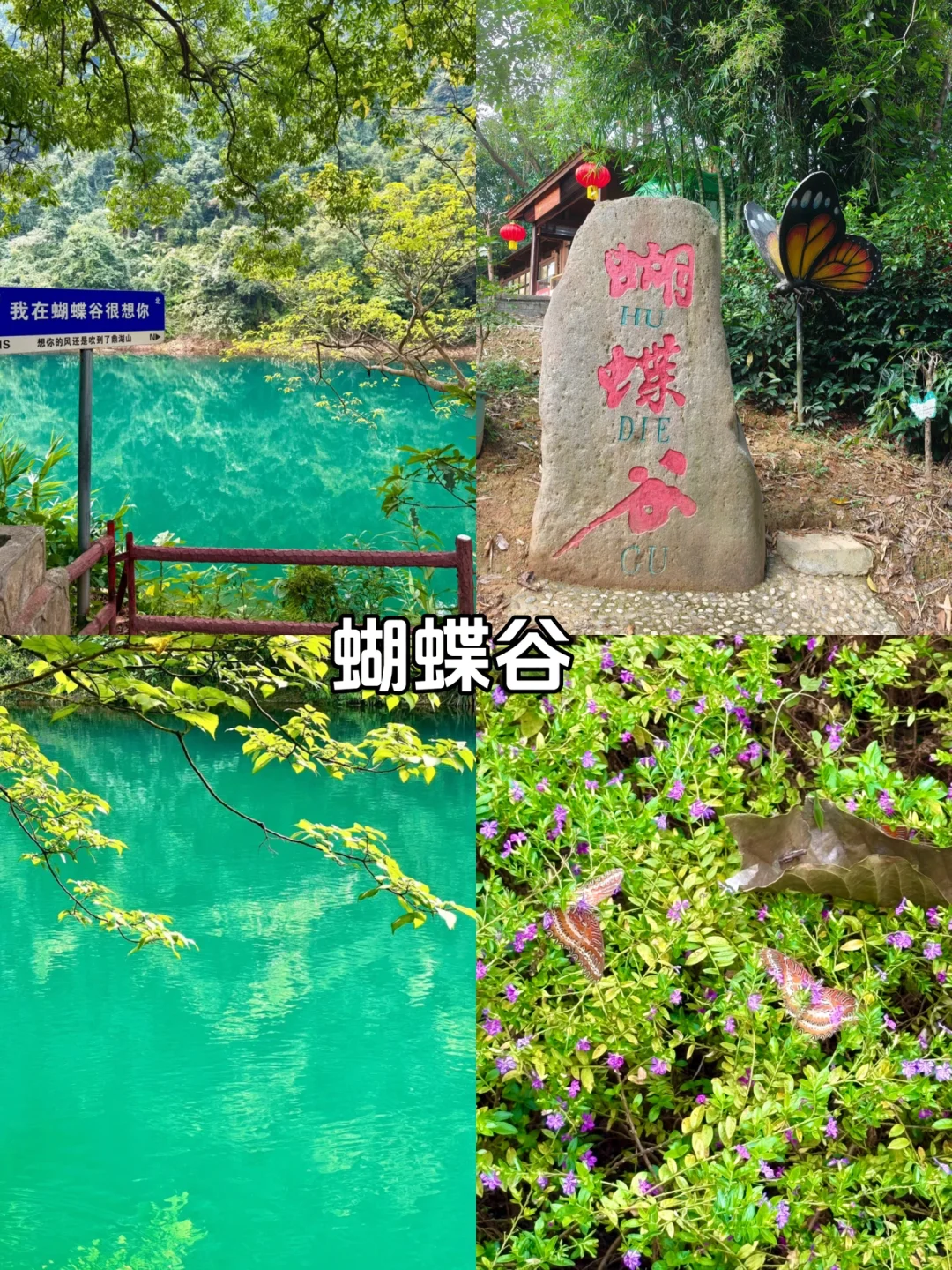 肇庆必去9大景点、美食❗️❗️❗️旅游前必看