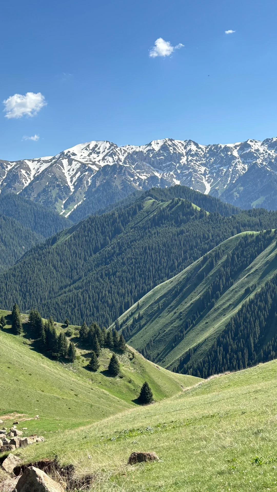 广东出发想去伊犁的可以借鉴！