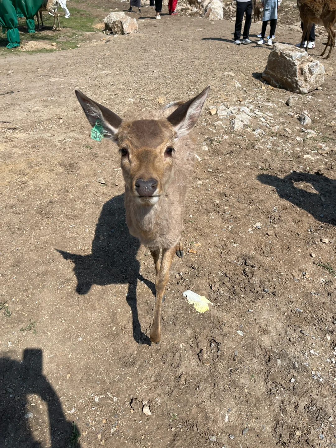 长春周边1小时直达❗适合亲子研学的好地方