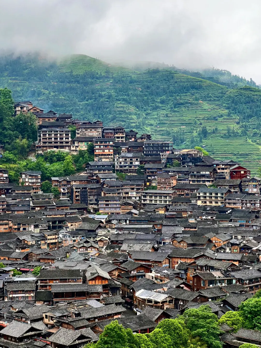 本以为崇左很适合遛娃了，直到去了小七孔！