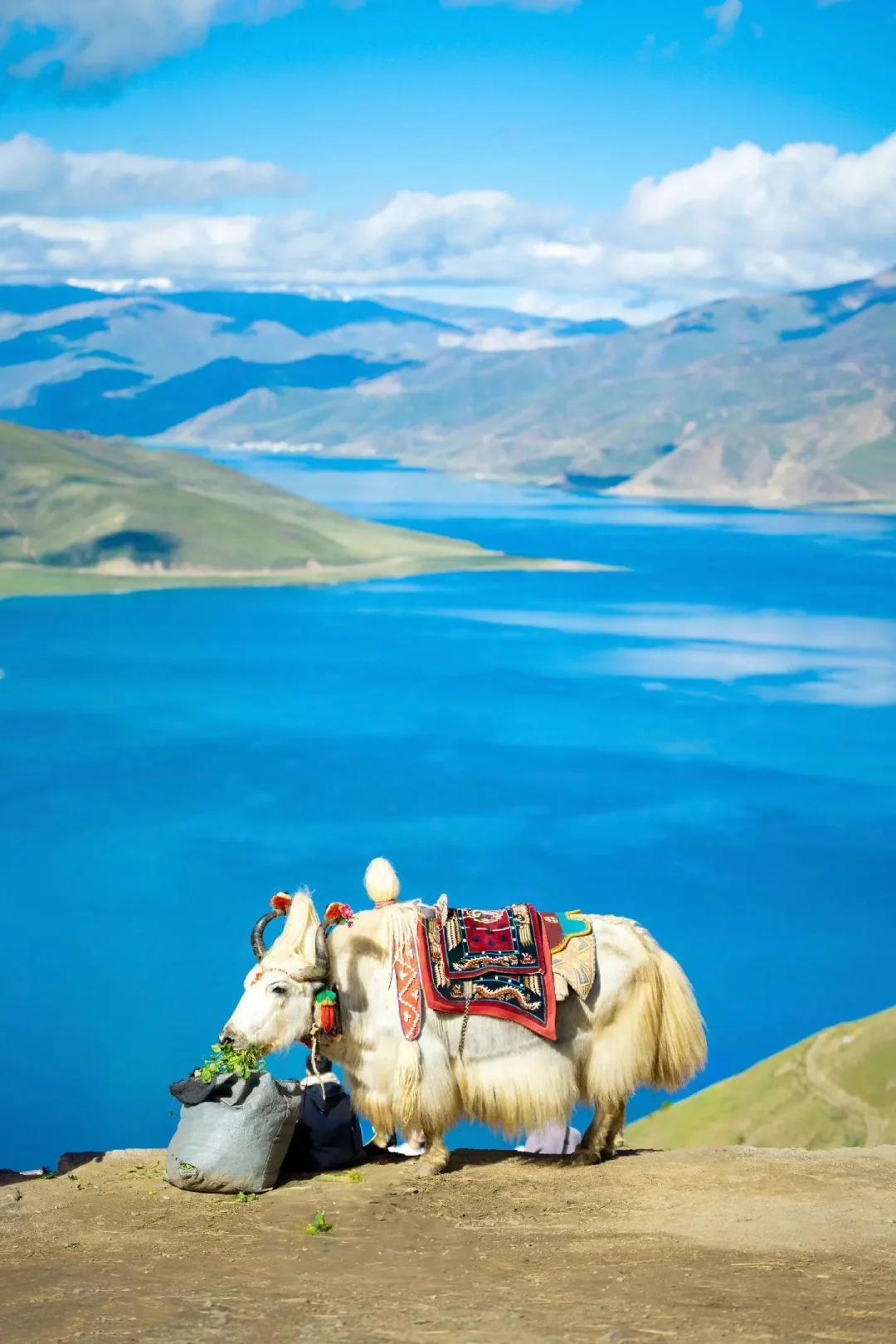 珠峰5日游经典线路及攻略