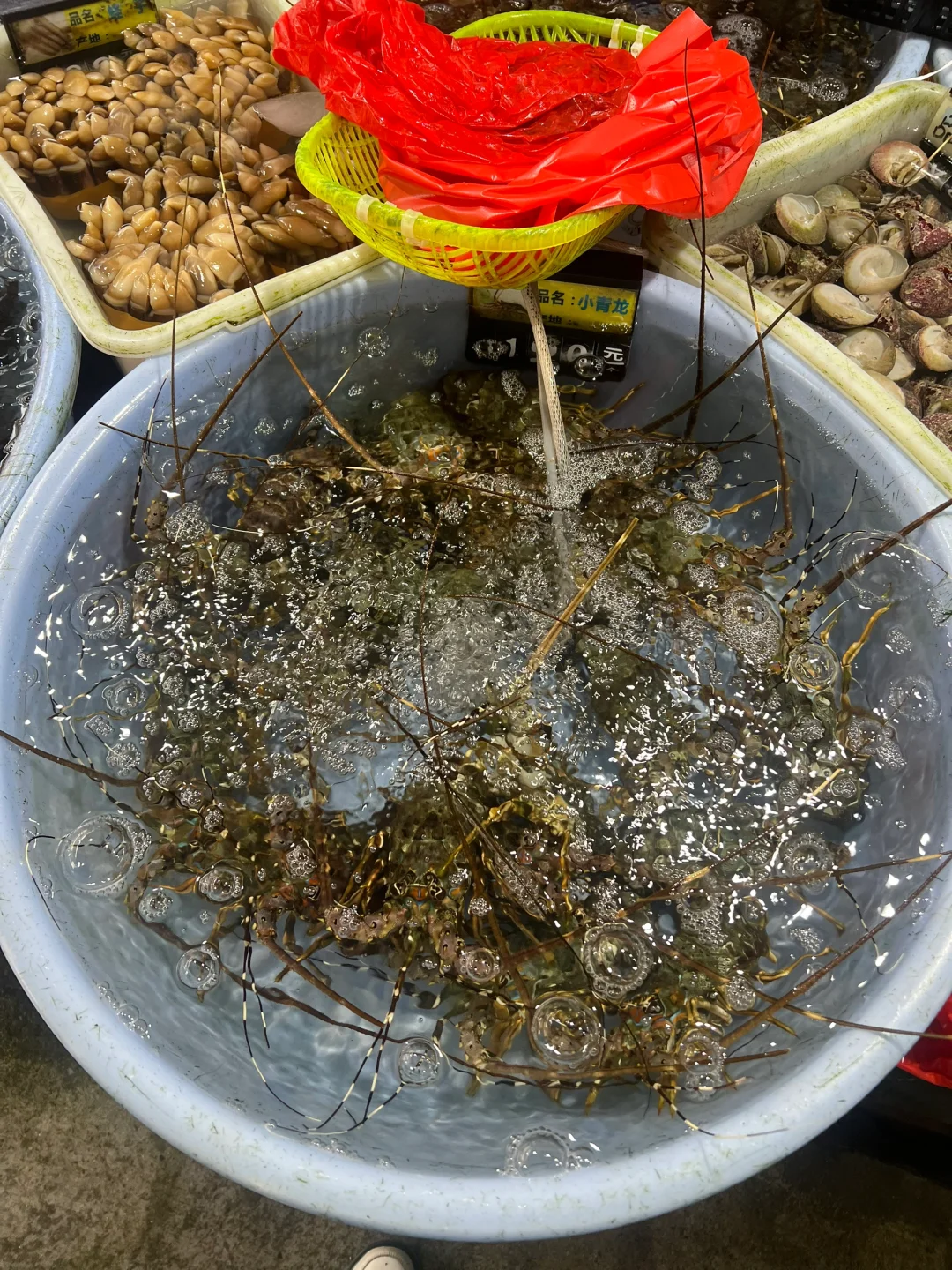 五月中下旬涠洲岛旅游大实话都在这里了！！