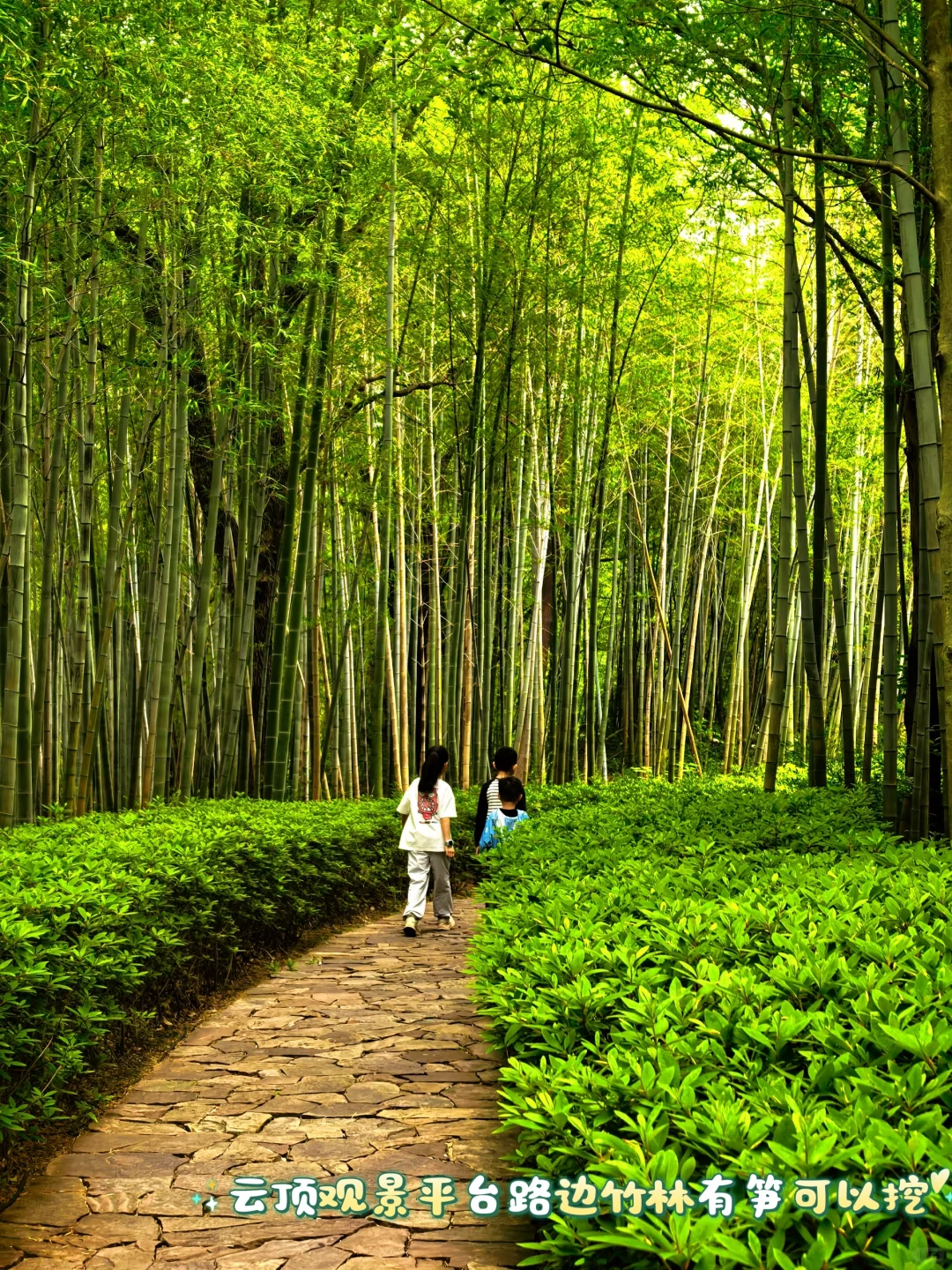 驱车 2 小时去平桥石坝,结果看到这副模样
