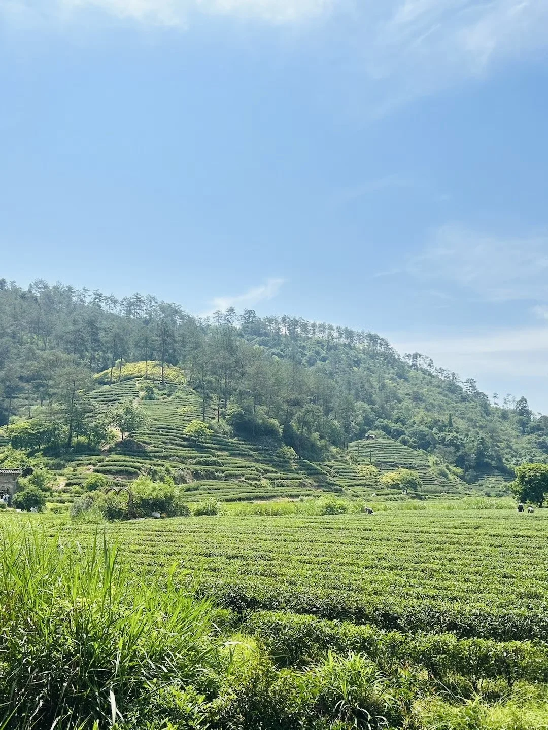 武夷山超适合walk的攻略