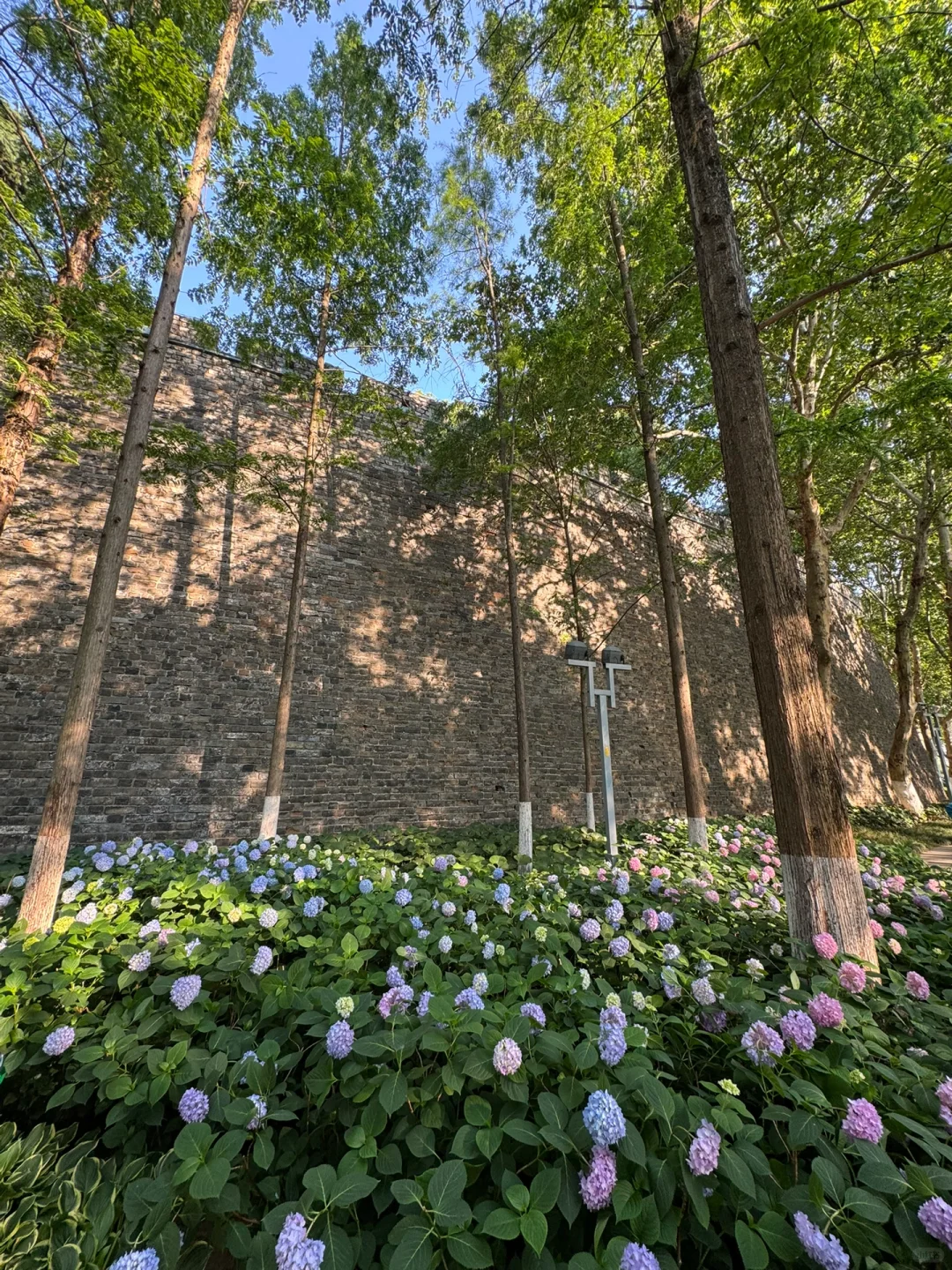 第一个发现南京这个机位的人是天才吧…