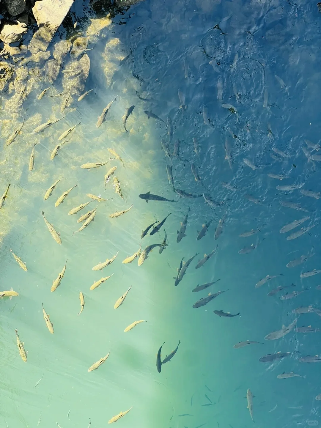 武夷山超适合walk的攻略