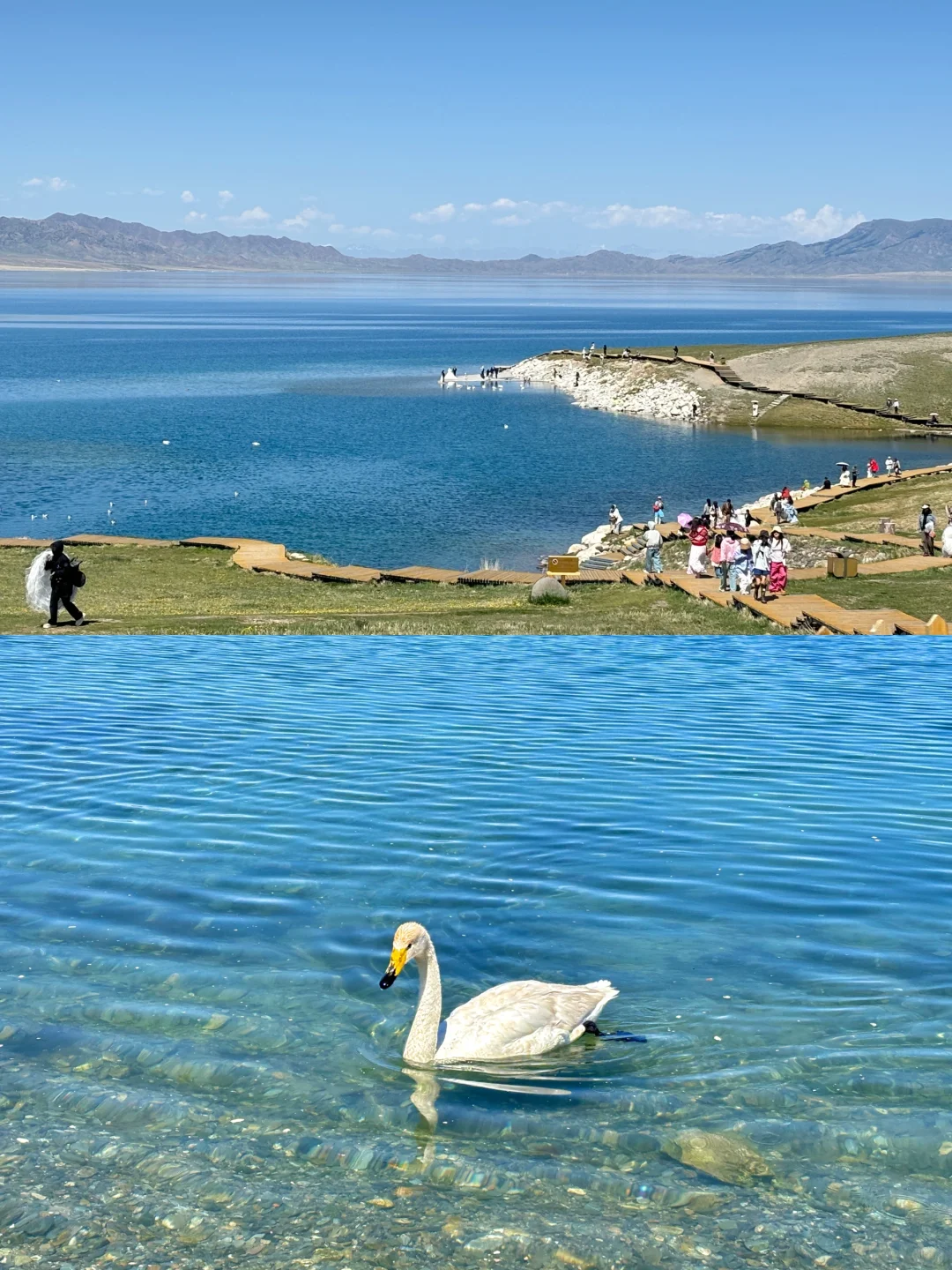 广东出发想去伊犁的可以借鉴！
