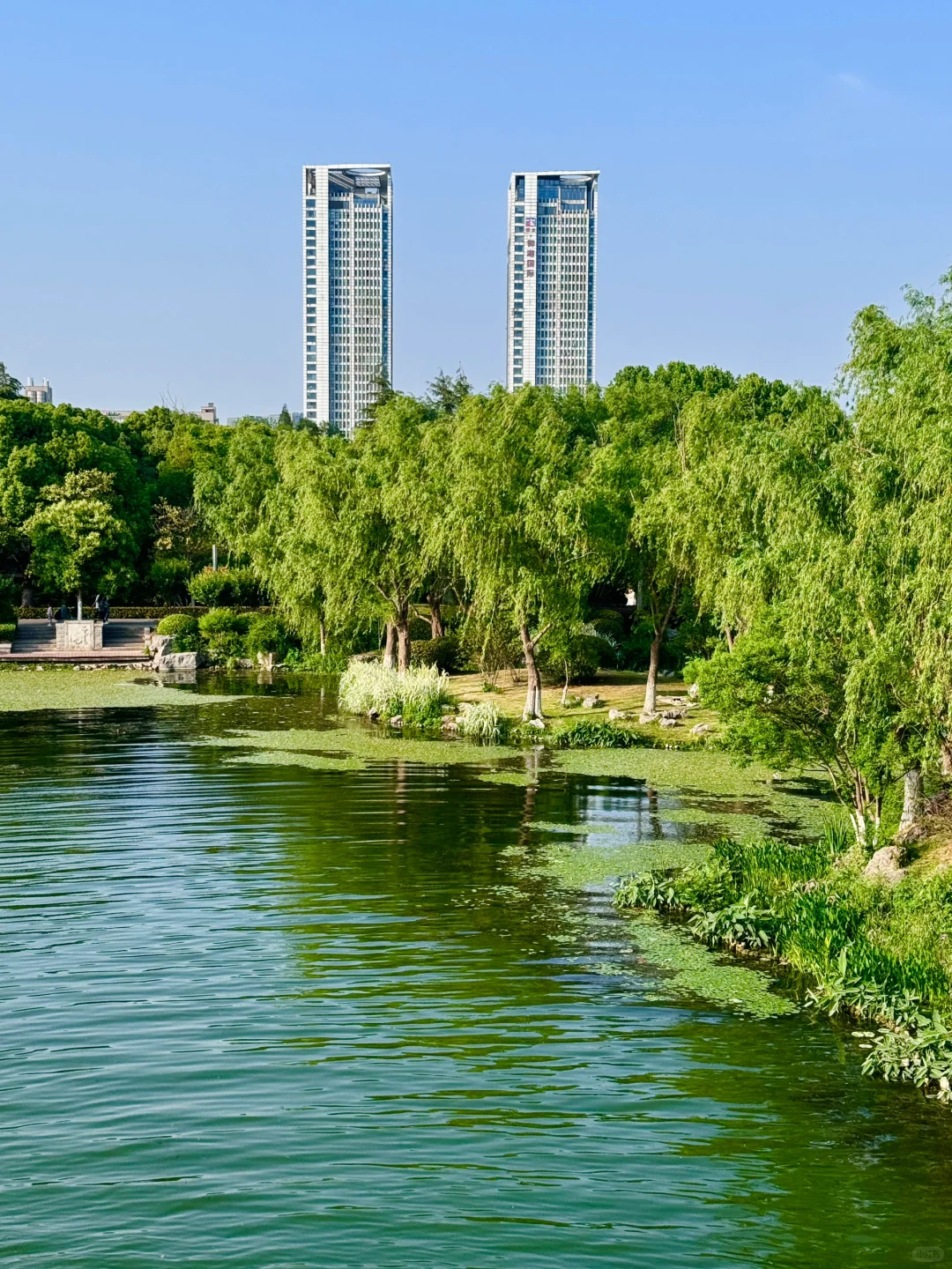 我宣布，这是南京最值得去的免费景区……