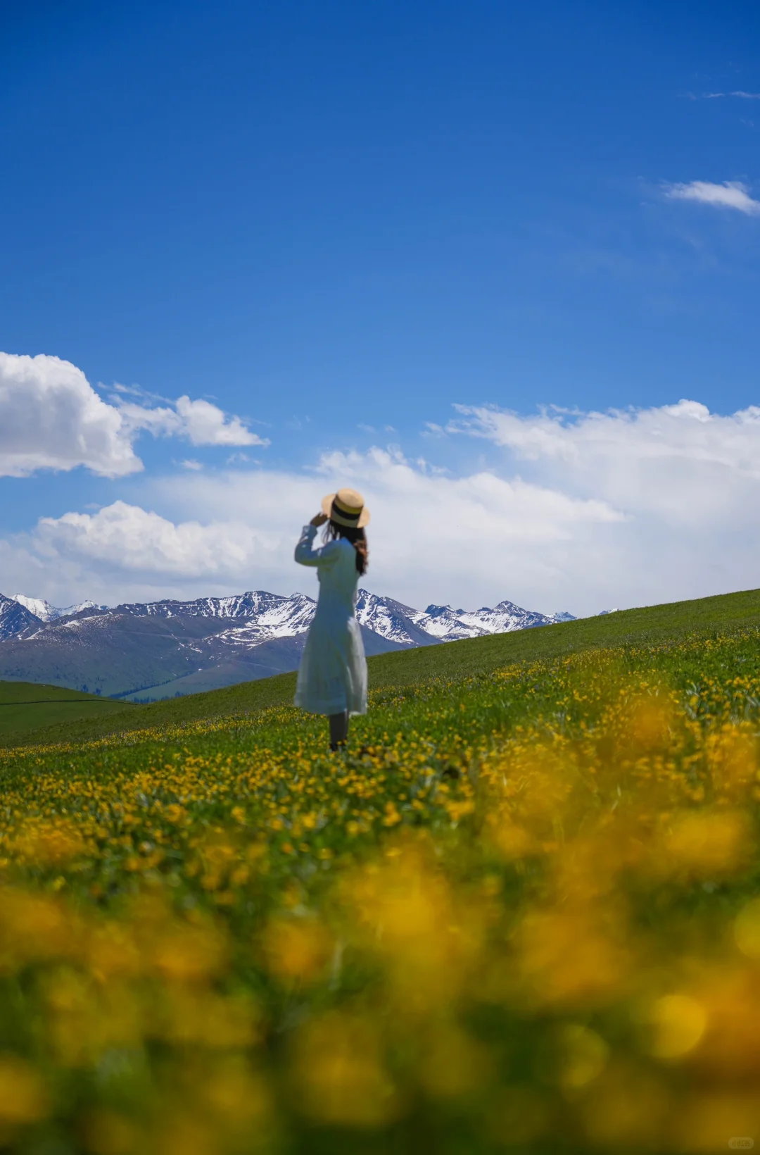 去过十几次新疆，说说我心中最美草原前三