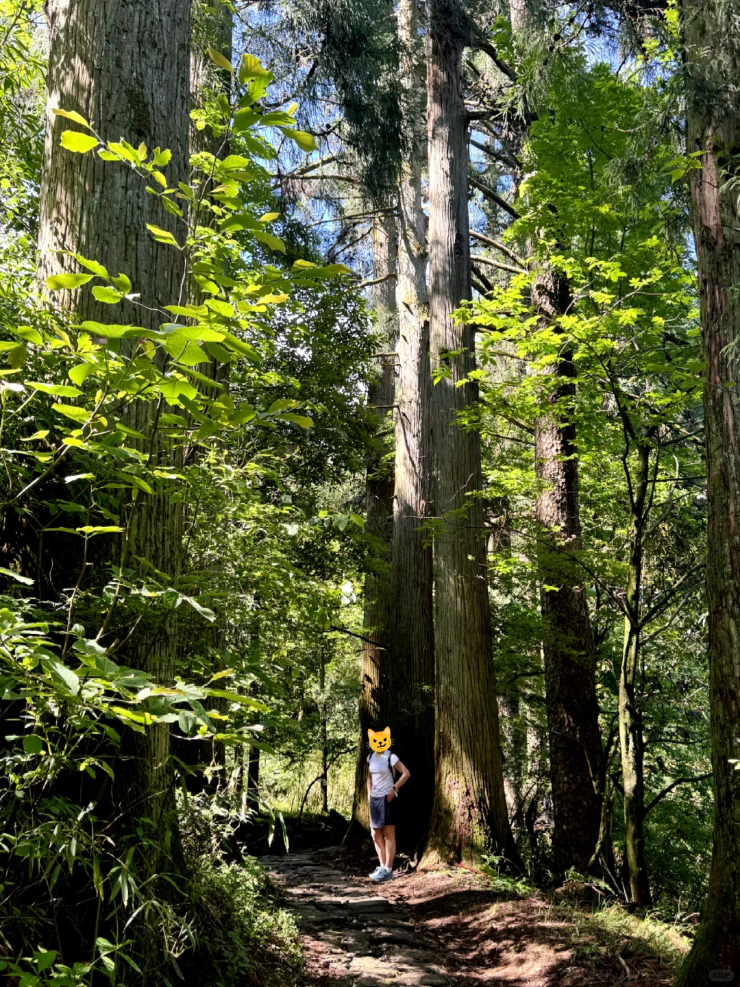 盛夏来临之前，有幸遇见