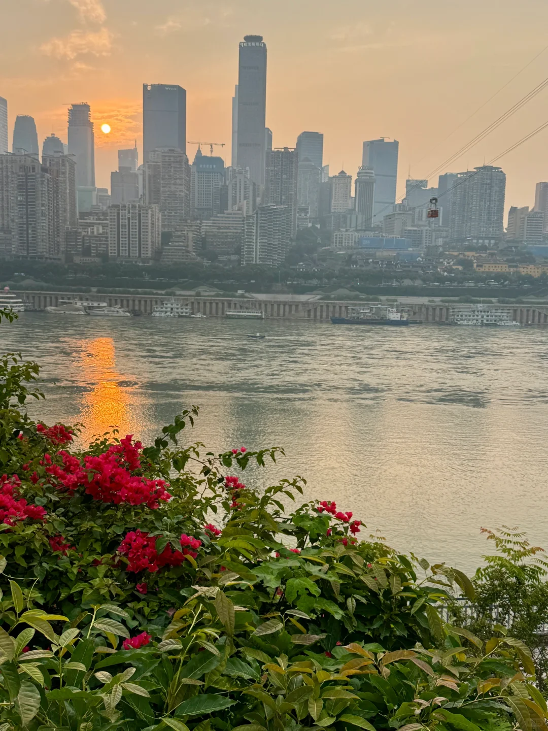 来重庆旅游，一定要留一天给南滨路！！！