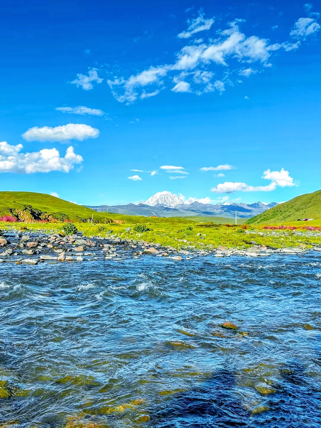 在川西！果然好看的地方都是免费的。。