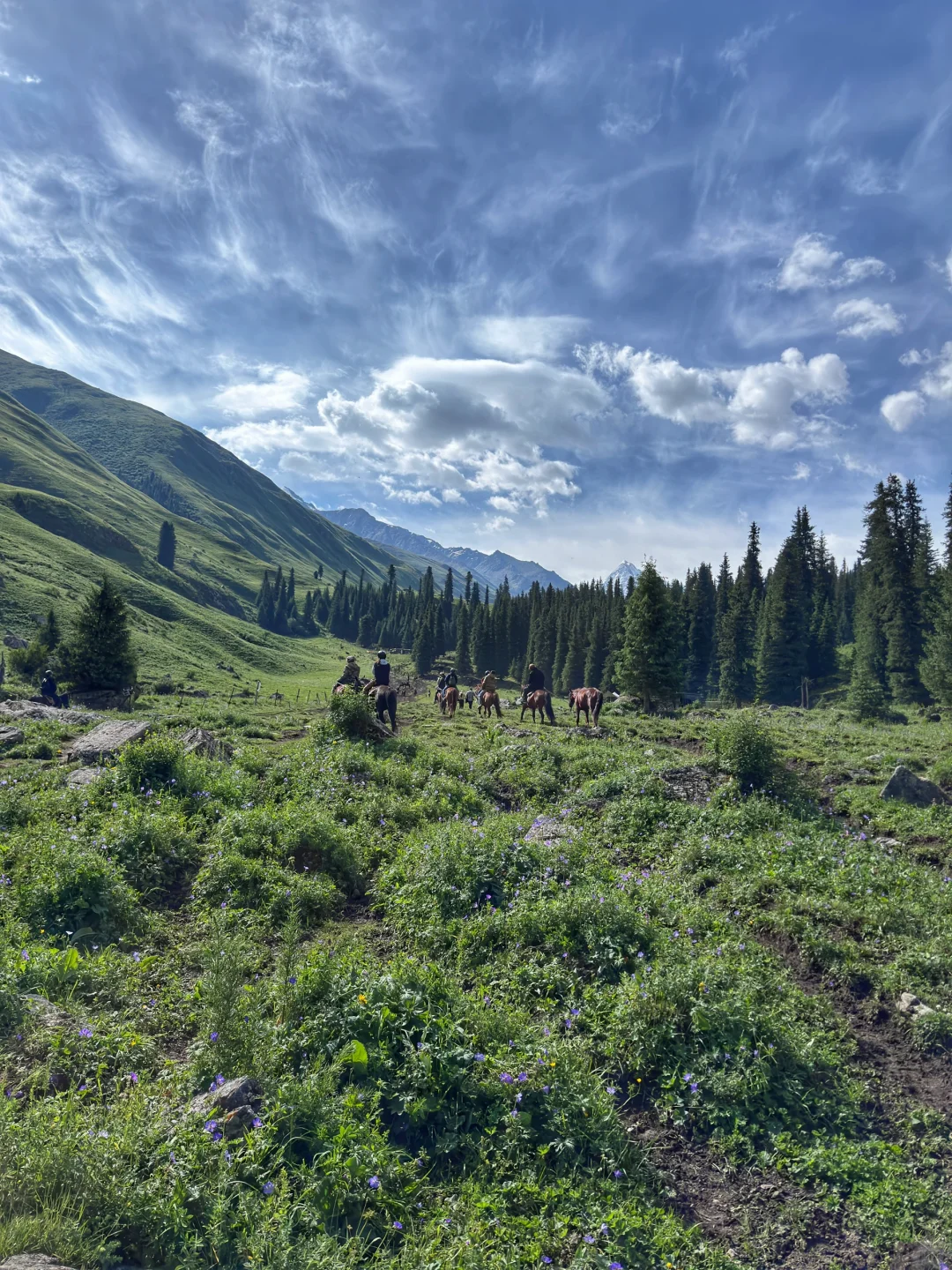 这可能是我吃的最美早餐吧🙊