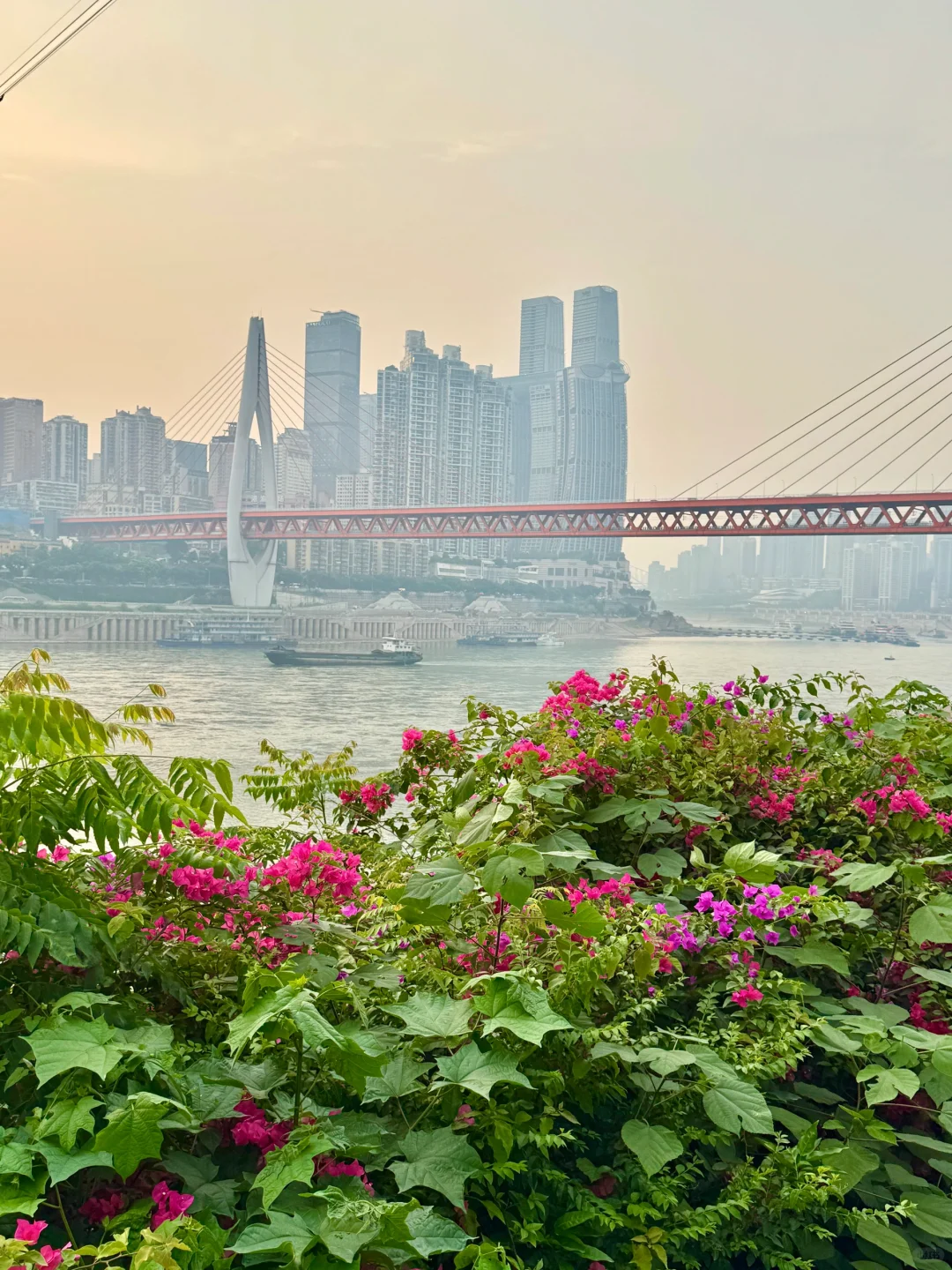 来重庆旅游，一定要留一天给南滨路！！！