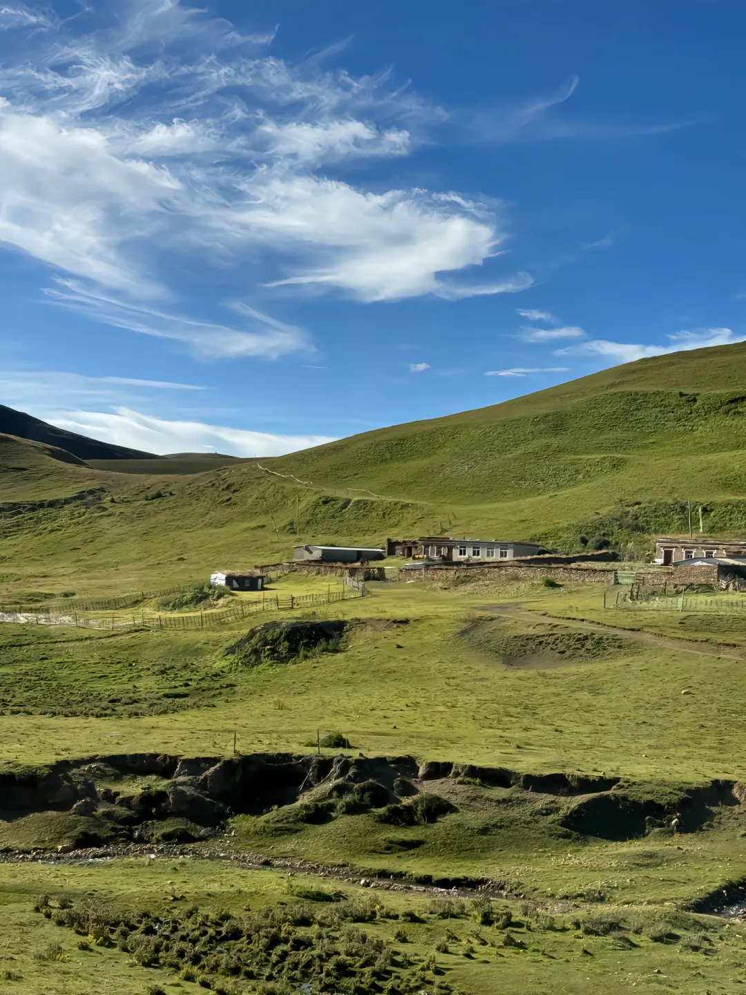 去川西丢了半条命，别拦我说说大实话😭